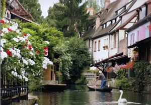 Colmar